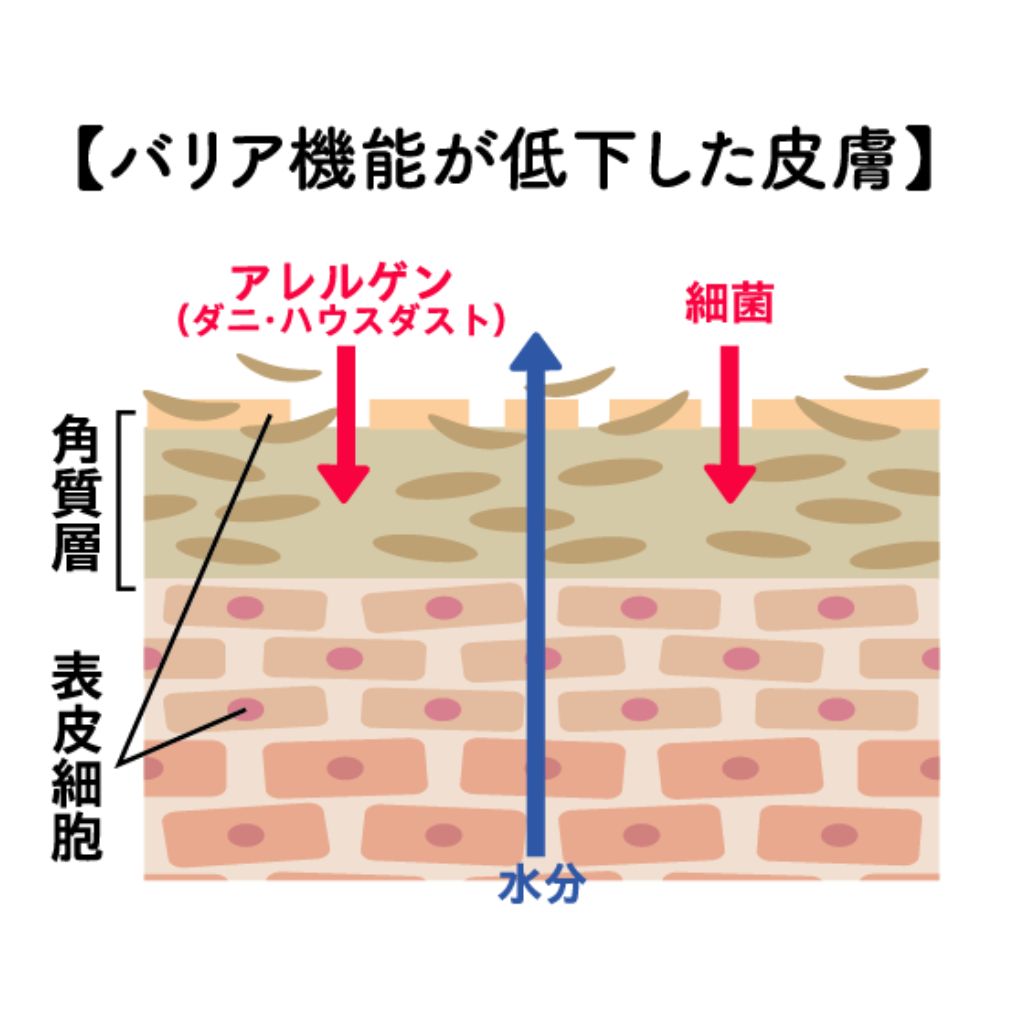 使用前の肌
